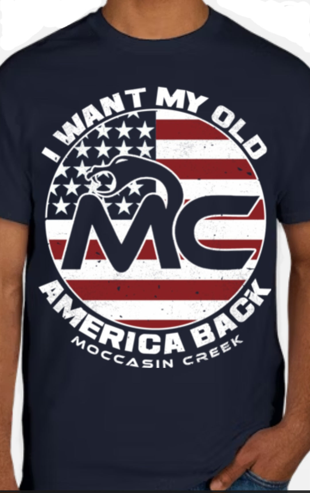 I Want My Old America Back (t-shirt) (***SALE***)